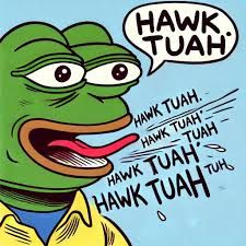 Hawk Tuah ($Hwkth) – rug.ninja