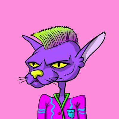 ROLLY (ROLLY) – rug.ninja